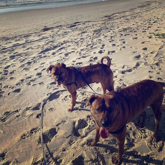 Meet your Posher, Amanda - Picture 1 of 1